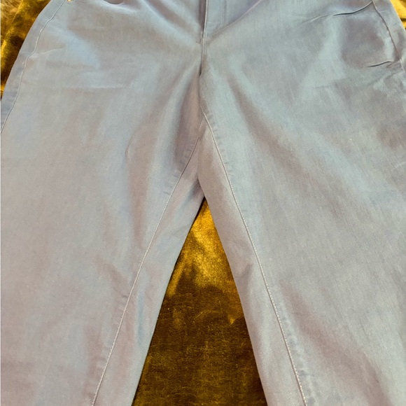 Talbots Robin’s Egg Blue Plus Size Jeggings Size 24 NWT - Picture 3 of 9